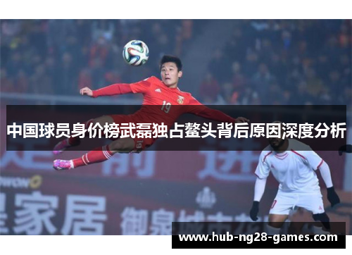 中国球员身价榜武磊独占鳌头背后原因深度分析