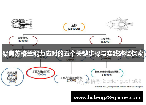 聚焦苏格兰能力应对的五个关键步骤与实践路径探索